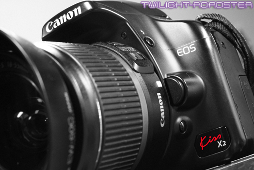 ＫｉｓｓＸ２がお疲れ気味となった件。 - ＣＡＮＯＮ ＥＯＳ Ｋｉｓｓ Ｘ２ -1 