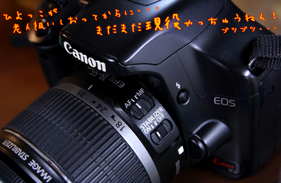 ＫｉｓｓＸ２がお疲れ気味となった件。 - ＣＡＮＯＮ ＥＯＳ Ｋｉｓｓ Ｘ２ -2 